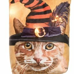 Top 10 ✨ C&F Home Witch Cat-Chunk Light-Up Doorstop 🛒 -Deals C&F Home Store unnamed file 165