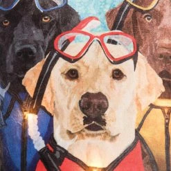 Brand new 🌟 C&F Home 🐕 Dog Snorkel Light-Up LED Doorstop ⭐ -Deals C&F Home Store unnamed file 244