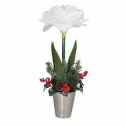 Hot Sale ⭐ C&F Home Gallerie II Holiday Amaryllis In Pot 🛒